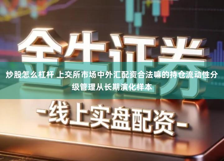 炒股怎么杠杆 上交所市场中外汇配资合法嘛的持仓流动性分级管理从长期演化样本